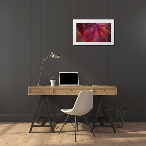 Joyful Maple I White Modern Wood Framed Art Print by Crane, Rita