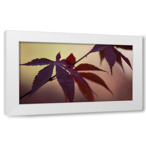 Burgundy Maple I White Modern Wood Framed Art Print by Crane, Rita