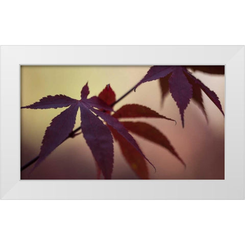 Burgundy Maple I White Modern Wood Framed Art Print by Crane, Rita