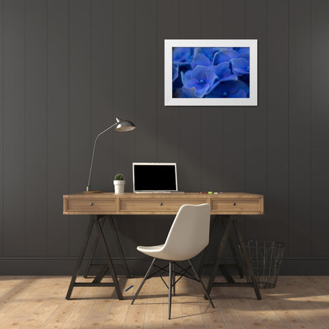 Hydrangea Blues II White Modern Wood Framed Art Print by Crane, Rita
