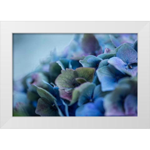 Autumn Hydrangea IV White Modern Wood Framed Art Print by Crane, Rita