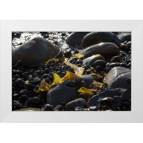 Rocky Shore I White Modern Wood Framed Art Print by Crane, Rita
