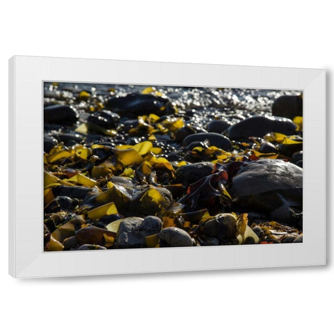 Rocky Shore II White Modern Wood Framed Art Print by Crane, Rita