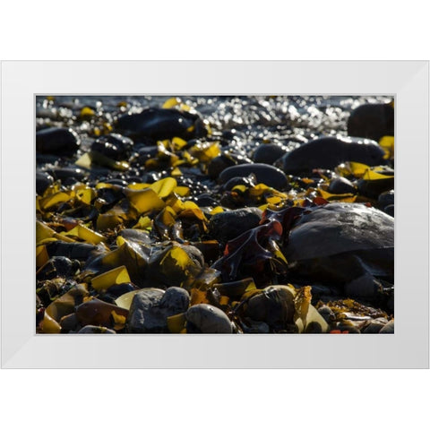 Rocky Shore II White Modern Wood Framed Art Print by Crane, Rita