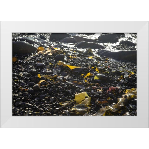 Rocky Shore III White Modern Wood Framed Art Print by Crane, Rita