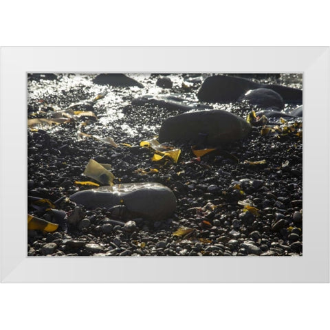 Rocky Shore IV White Modern Wood Framed Art Print by Crane, Rita