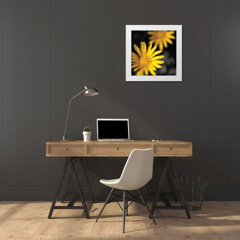 Celebration III White Modern Wood Framed Art Print by Crane, Rita