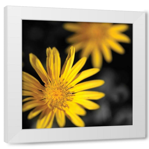 Celebration III White Modern Wood Framed Art Print by Crane, Rita