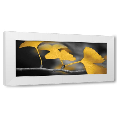 Yellow Gingko II White Modern Wood Framed Art Print by Crane, Rita