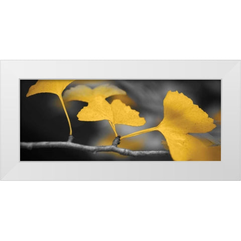 Yellow Gingko II White Modern Wood Framed Art Print by Crane, Rita