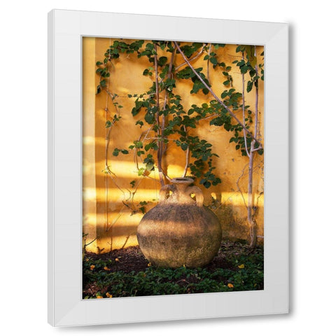 Riviera Garden Detail II White Modern Wood Framed Art Print by Crane, Rita