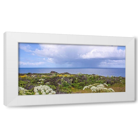 Coastal Wildflowers I White Modern Wood Framed Art Print by Crane, Rita
