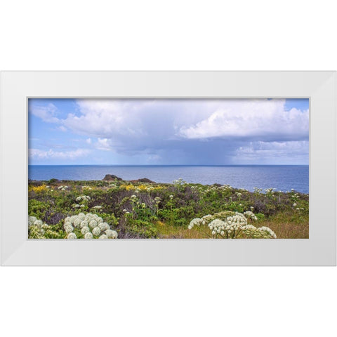 Coastal Wildflowers I White Modern Wood Framed Art Print by Crane, Rita