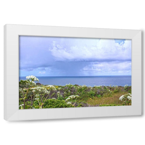 Spring Morning II White Modern Wood Framed Art Print by Crane, Rita