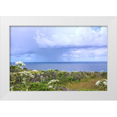 Spring Morning II White Modern Wood Framed Art Print by Crane, Rita