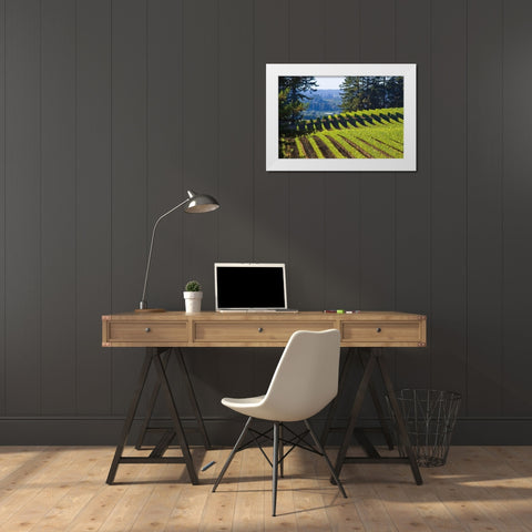 Sunlit Vineyard I White Modern Wood Framed Art Print by Crane, Rita
