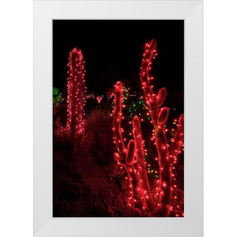 Holiday Cactus I White Modern Wood Framed Art Print by Crane, Rita