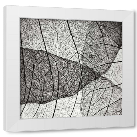 Leaf Designs IV BW White Modern Wood Framed Art Print by Christensen, Jim