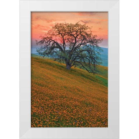 Rancheria White Modern Wood Framed Art Print by Geistweite, Mark