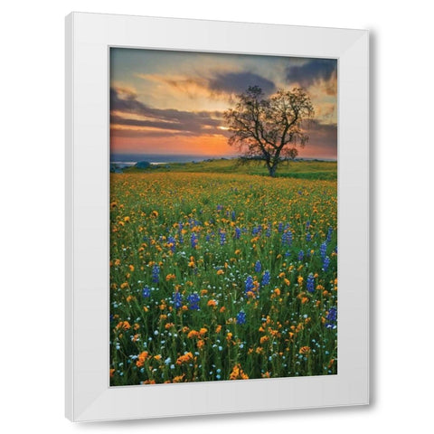 Bear Mountain White Modern Wood Framed Art Print by Geistweite, Mark