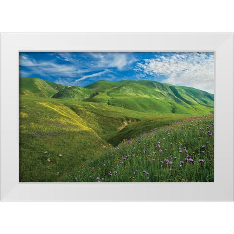 Wind Wolves White Modern Wood Framed Art Print by Geistweite, Mark