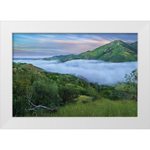 Figueroa White Modern Wood Framed Art Print by Geistweite, Mark