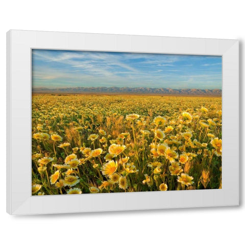 Carrizo I White Modern Wood Framed Art Print by Geistweite, Mark