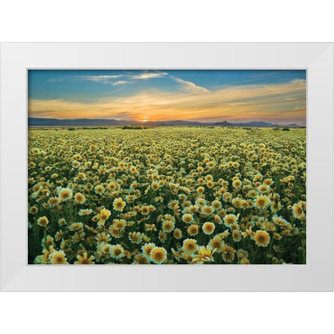 Carrizo II White Modern Wood Framed Art Print by Geistweite, Mark