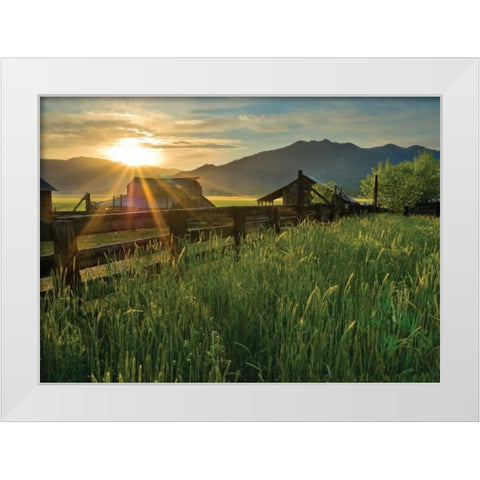 Walker Basin I White Modern Wood Framed Art Print by Geistweite, Mark