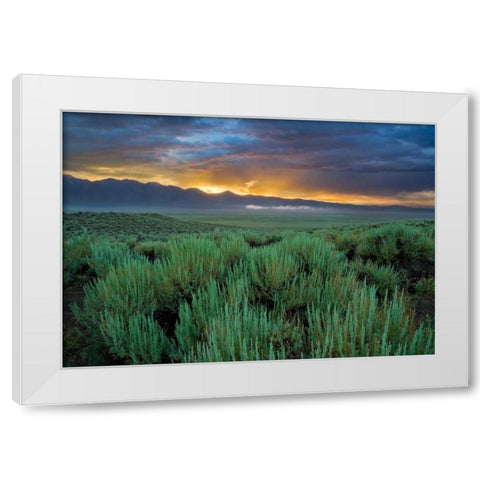 Benton Crossing II White Modern Wood Framed Art Print by Geistweite, Mark