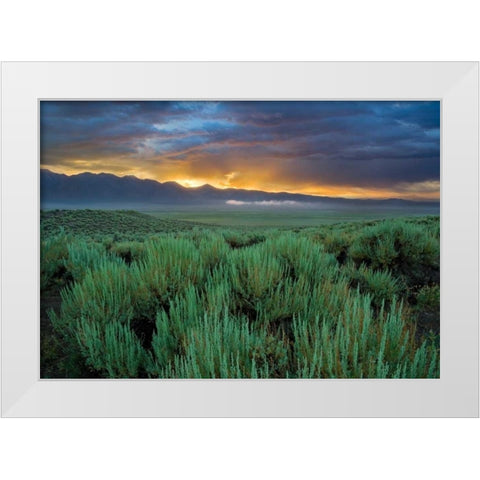 Benton Crossing II White Modern Wood Framed Art Print by Geistweite, Mark
