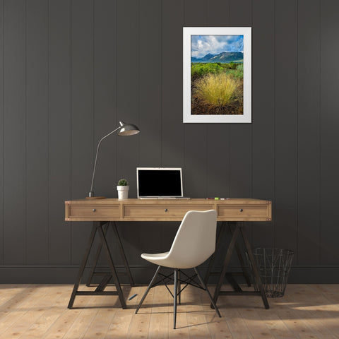 Eastern Sierra IV White Modern Wood Framed Art Print by Geistweite, Mark