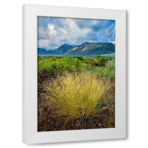 Eastern Sierra IV White Modern Wood Framed Art Print by Geistweite, Mark