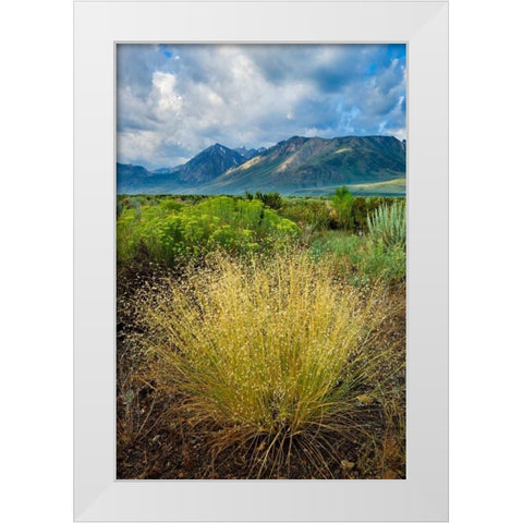 Eastern Sierra IV White Modern Wood Framed Art Print by Geistweite, Mark