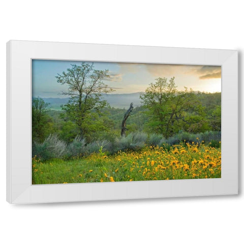 Caliente Spring II White Modern Wood Framed Art Print by Geistweite, Mark