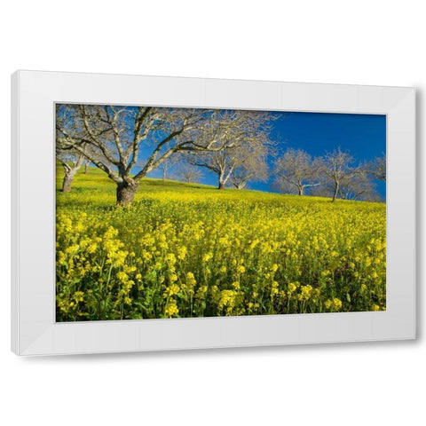 Mustard Factory II White Modern Wood Framed Art Print by Geistweite, Mark