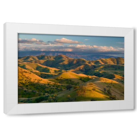 Passing Spring White Modern Wood Framed Art Print by Geistweite, Mark