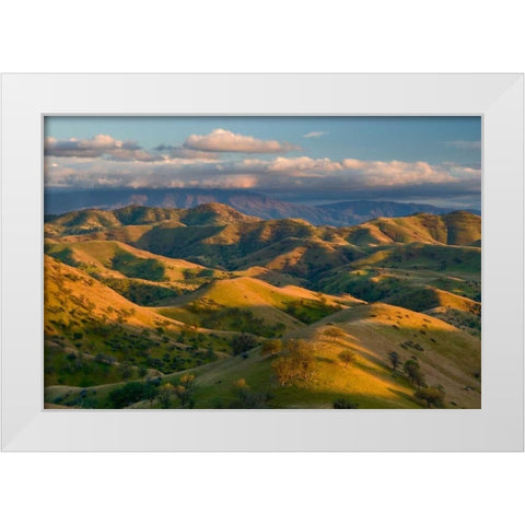 Passing Spring White Modern Wood Framed Art Print by Geistweite, Mark
