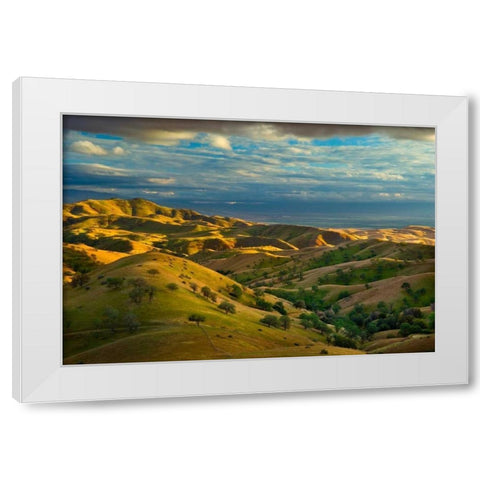 Spring Exodus White Modern Wood Framed Art Print by Geistweite, Mark