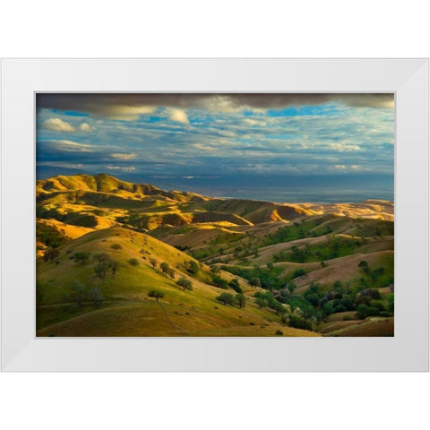 Spring Exodus White Modern Wood Framed Art Print by Geistweite, Mark