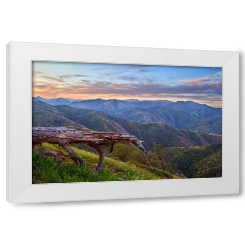 Pastel in Nature I White Modern Wood Framed Art Print by Geistweite, Mark