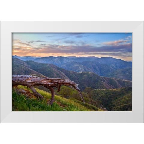 Pastel in Nature I White Modern Wood Framed Art Print by Geistweite, Mark