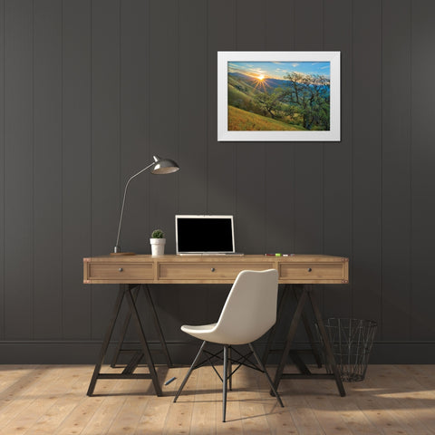 Spring Sunburst I White Modern Wood Framed Art Print by Geistweite, Mark