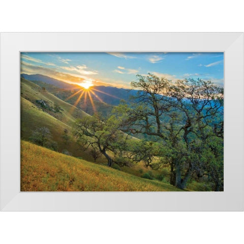 Spring Sunburst I White Modern Wood Framed Art Print by Geistweite, Mark