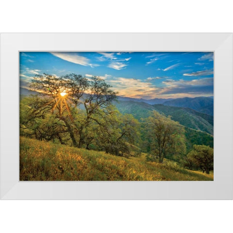 Spring Sunburst II White Modern Wood Framed Art Print by Geistweite, Mark