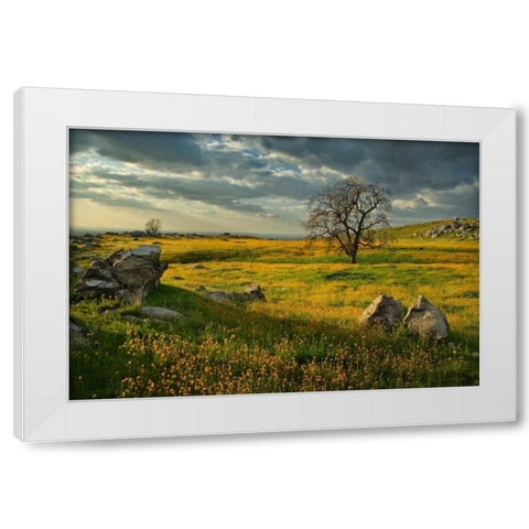 Summer Sun White Modern Wood Framed Art Print by Geistweite, Mark