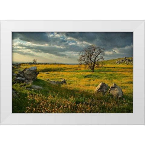 Summer Sun White Modern Wood Framed Art Print by Geistweite, Mark