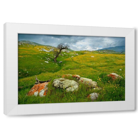 Trail Northward White Modern Wood Framed Art Print by Geistweite, Mark