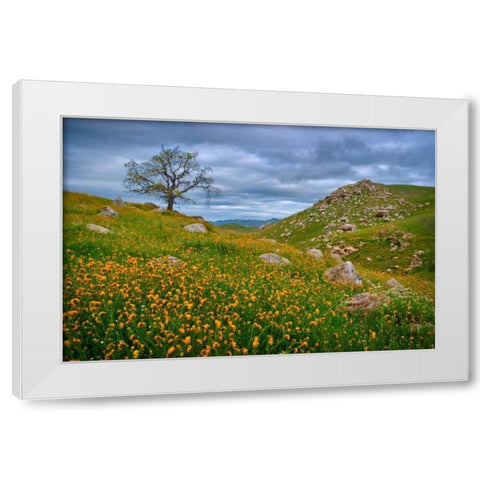 Sprung II White Modern Wood Framed Art Print by Geistweite, Mark