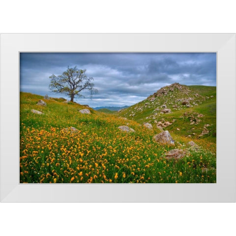 Sprung II White Modern Wood Framed Art Print by Geistweite, Mark